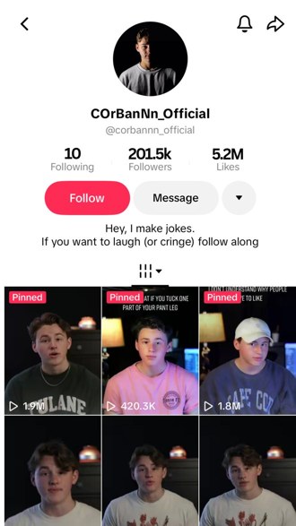 The same TikTok profile at 201,500 followers